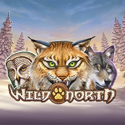 Wild North thumbnail