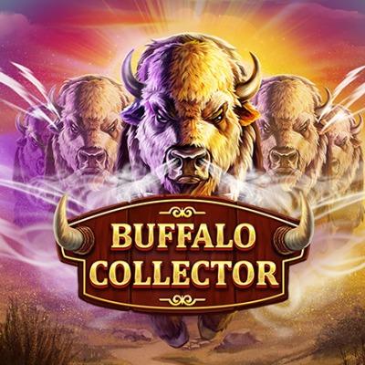 Buffalo Collector thumbnail